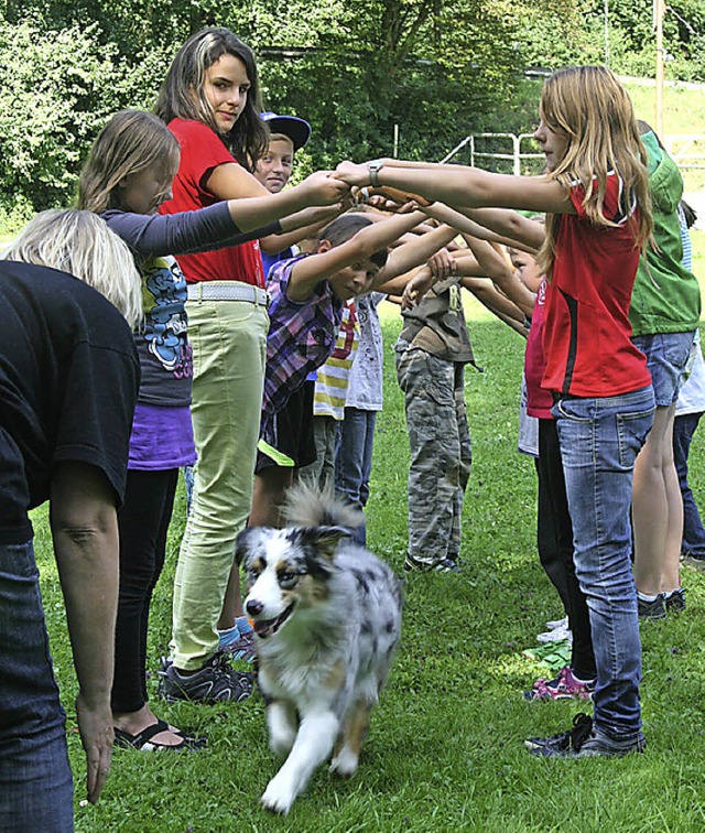 Spalierstehen  beim Hundetraining.  | Foto: Claudia Mann