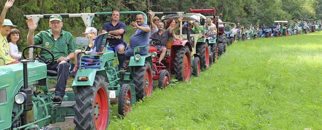 Traktor-Parade: Mehr als zwei Duzend m...n (wie im Bild an der Aubrcke) nicht.  | Foto: Christa Maier