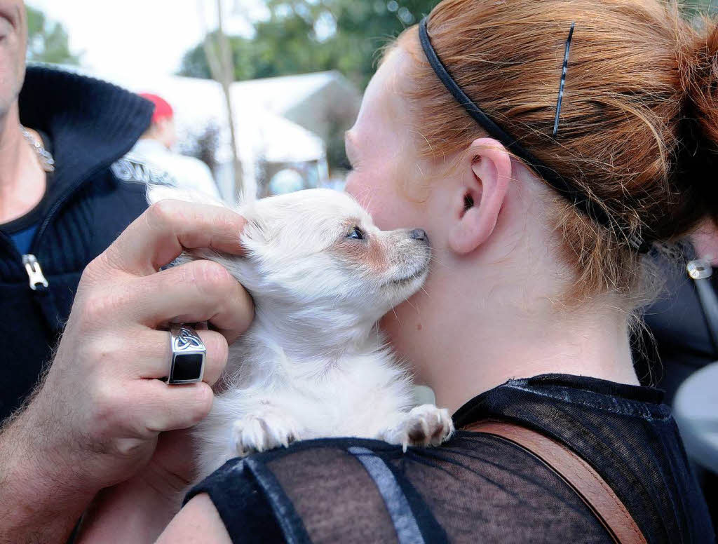 Das Tierheimfest in Lahr.