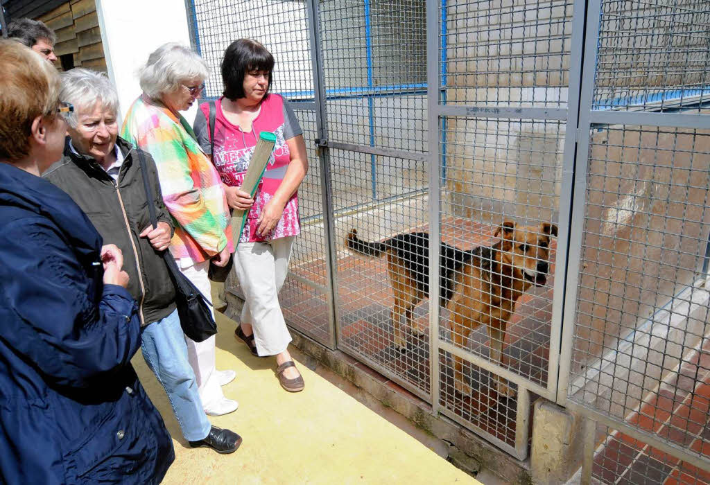 Das Tierheimfest in Lahr.