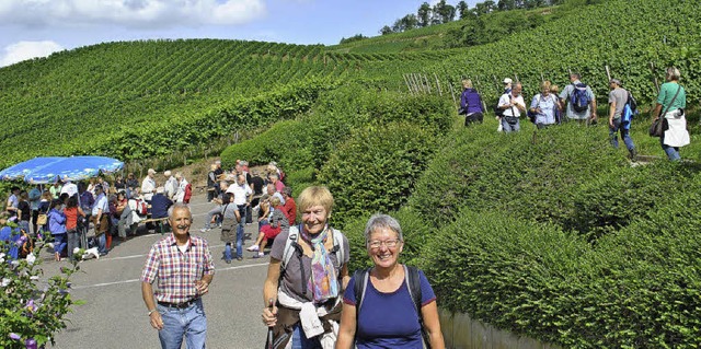 Einfach traumhaft, dachten sich gestern wohl die meisten Weinwanderer.   | Foto: robert ullmann