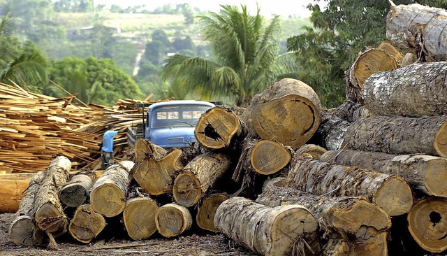 | Foto: dpa | Foto: dpa