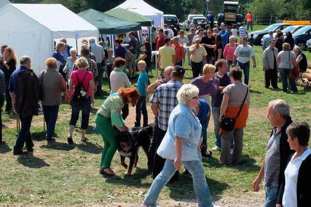 Fotos: Hoffest bei Maier in Oberwihl