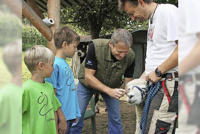 TV-Tierarzt Wieland Beck kmmert sich um Alpakas und Lamas