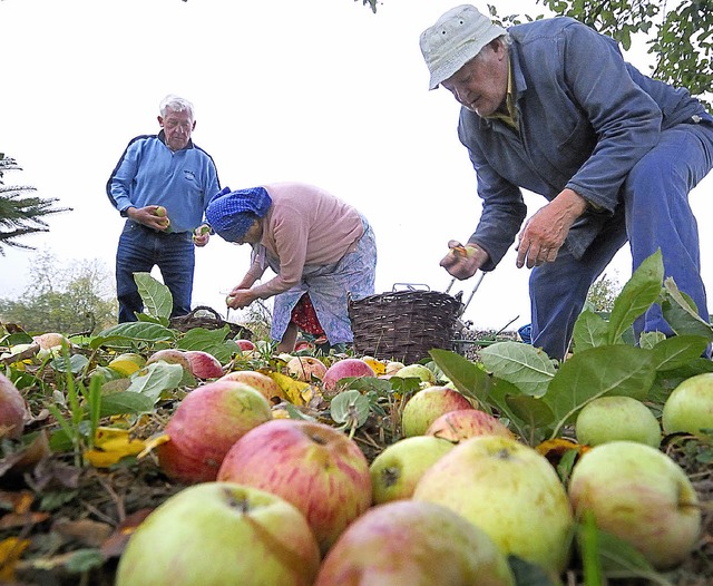 Wer schon reife pfel hat, kann sie am... und am 11. Oktober entsaften lassen.   | Foto: Siegfried Gollrad