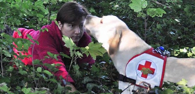 Hund Magnus macht Simone Mainka im Wald ausfindig.  | Foto: Julius Wilhelm Steckmeister