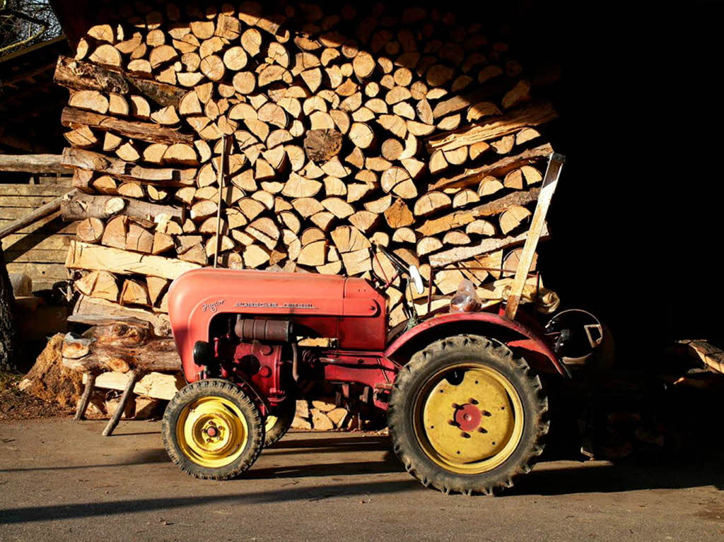 Reiner Bauer: Holzstapel mit altem Porsche