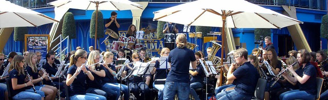 Beim Tag der Blasmusik im Europapark i... beteiligten Musikerinnen und Musiker.  | Foto: Privat