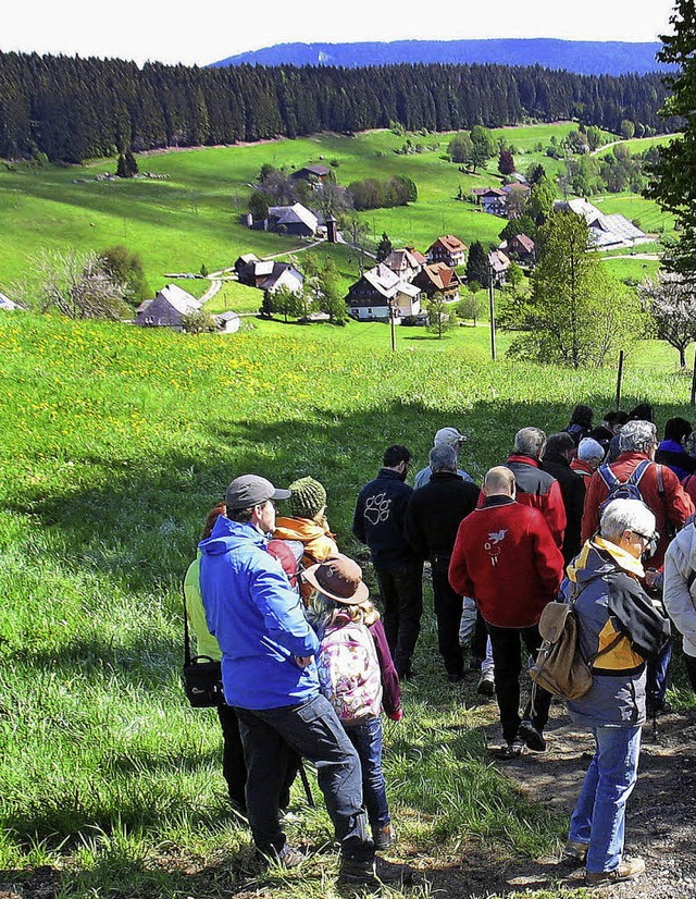 Gemeinsam in die wunderbare Natur des ...t es bei den Lenzkircher Wandertagen.   | Foto: Manfred G. Haderer