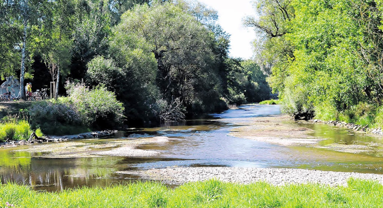 Die Entfesselung der Donau Donaueschingen Badische Zeitung