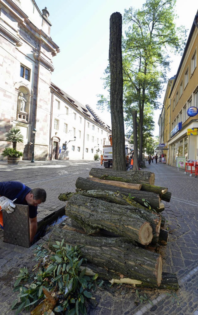 Bume zu Brennholz: Arbeiten an der Bertoldstrae   | Foto: Michael Bamberger