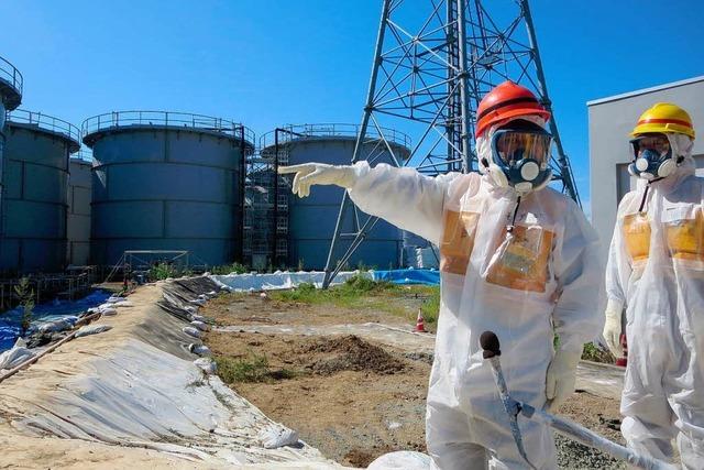 Fukushima: Millionenprogramm soll Lecks stopfen