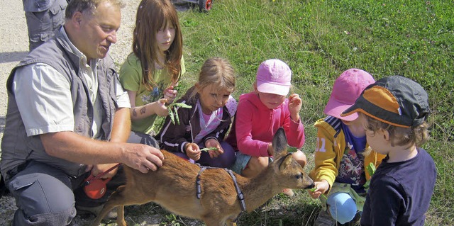 Rehkitz Bubi genoss die Zuneigung und Ftterung der Kinder sichtlich.   | Foto: Anne Freyer