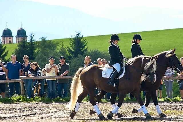 Aufs richtige Pferd gesetzt: Von Schwarzwlder Rssern und Reitern