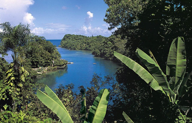 Tropisches Traumbild: Saftiges Grn un...se fr James Bond und seine Abenteuer.  | Foto: Jamaica Tourist Board/PR