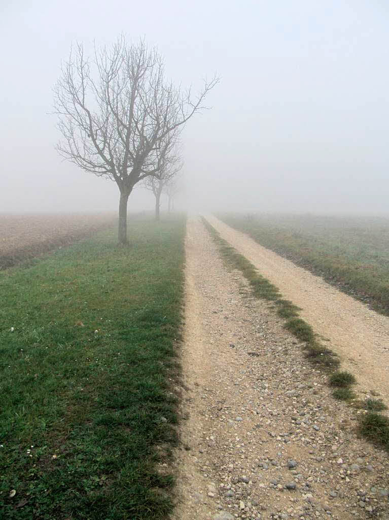 Eva Gnther-Thietke: Novembernebel Richung Daur-Htte