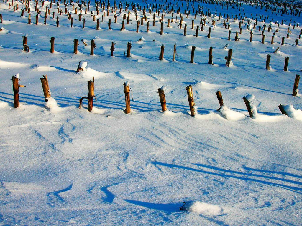 Tanja Rabus: Winter in Istein