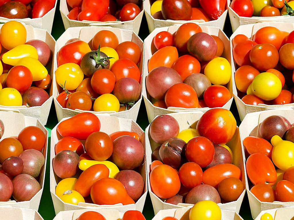 Dieter Wilhelm: Tomaten verschiedener Farben in Reih und Glied