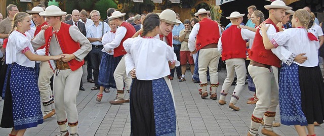 Mit ihrem Auftritt bereicherte die Tra...artnerstadt Wisla die Rheinfeier 2013.  | Foto: Marion Domann