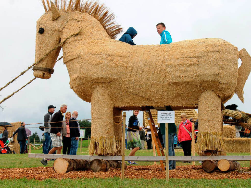 Trojanische Pferd (Landjugend) Trojanische Pferd (Landjugend)