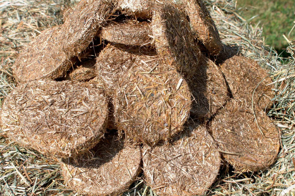 <ppp>und die dazu gehörenden Golddukaten.</ppp> <ppp>und die dazu gehörenden Golddukaten.</ppp>