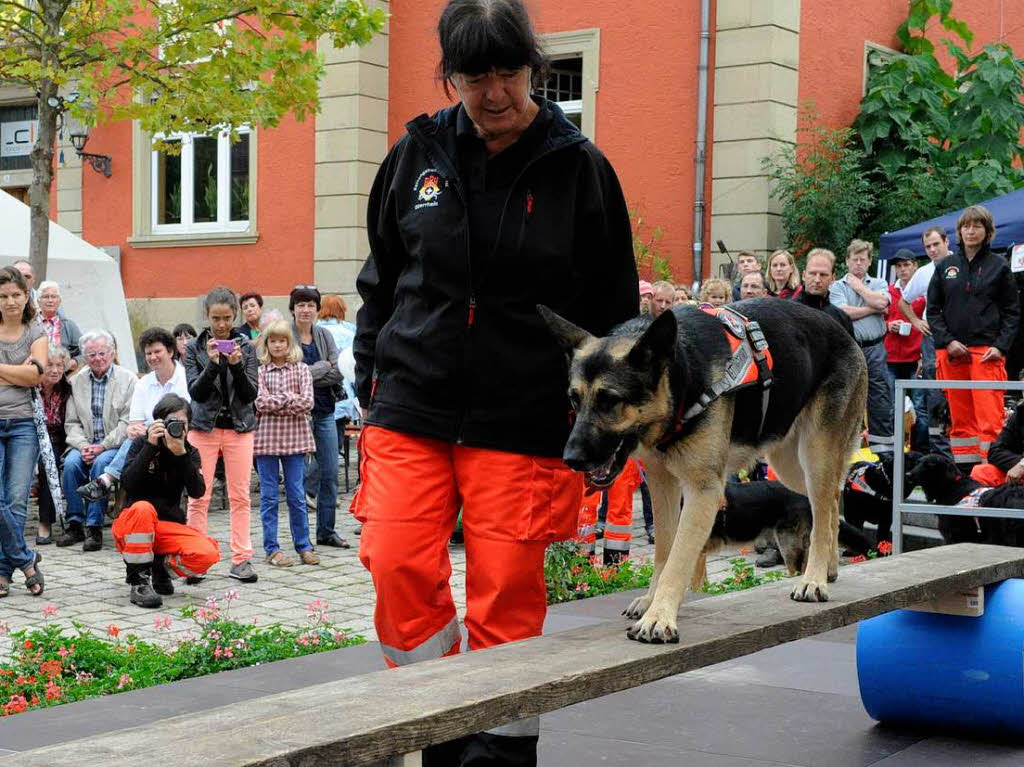 Teams der Rettungshundestaffel Oberrhein zeigen Ausschnitte der Ausbildung fr die Suche nach verschtteten Menschen.