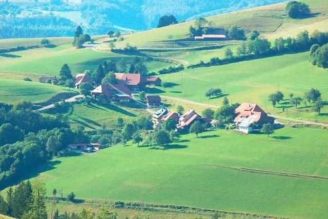 Braucht der Sdschwarzwald ein Biosphrengebiet?