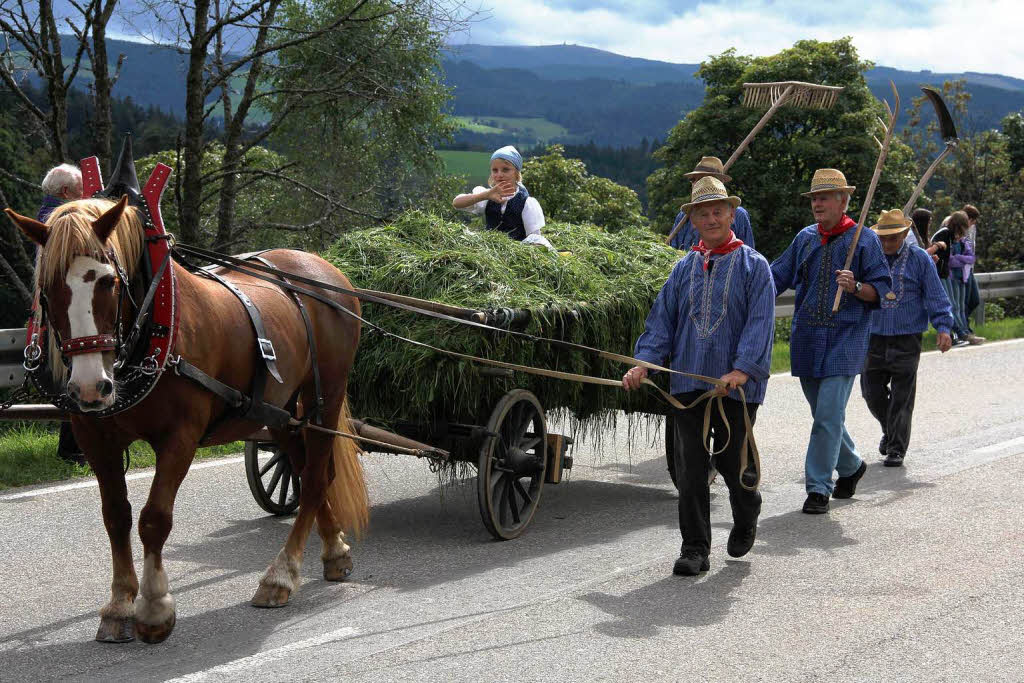 Impressionen vom Rossfest in St. Mrgen.