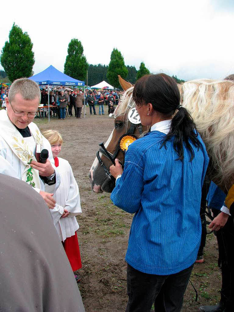 Impressionen vom Rossfest in St. Mrgen.