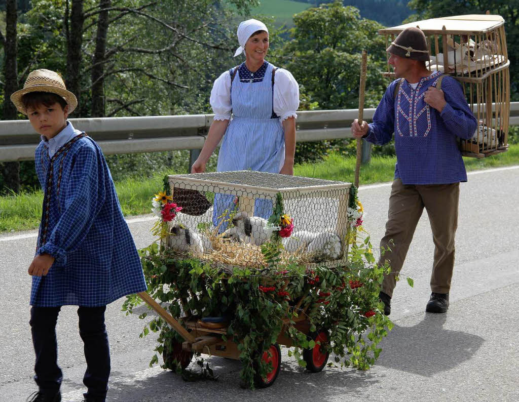 Impressionen vom Rossfest in St. Mrgen.