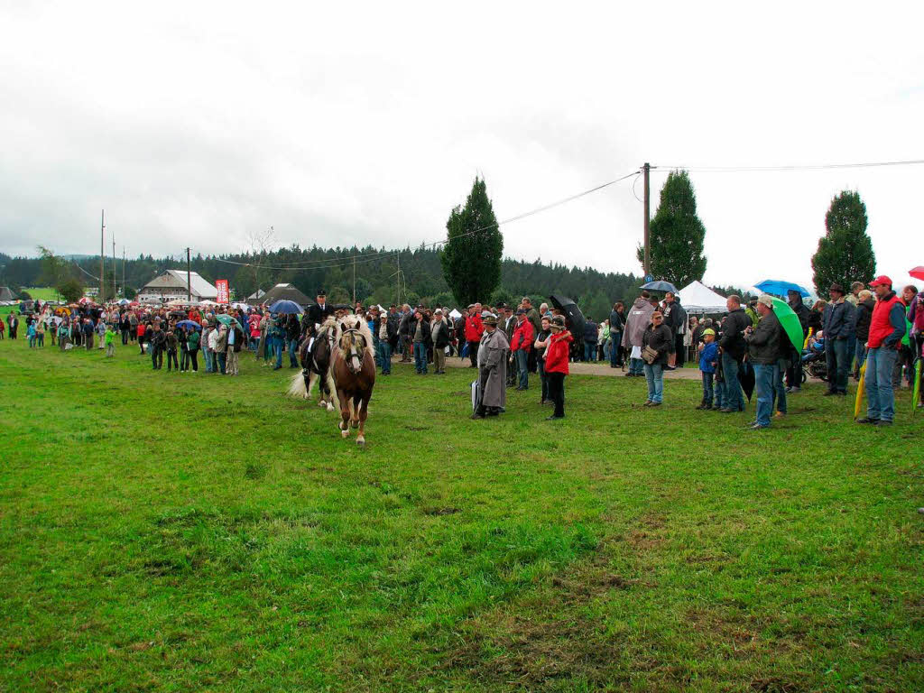 Impressionen vom Rossfest in St. Mrgen.