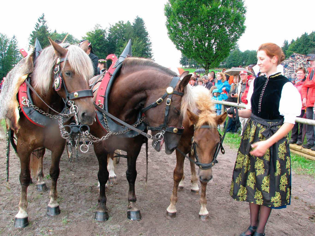 Impressionen vom Rossfest in St. Mrgen.