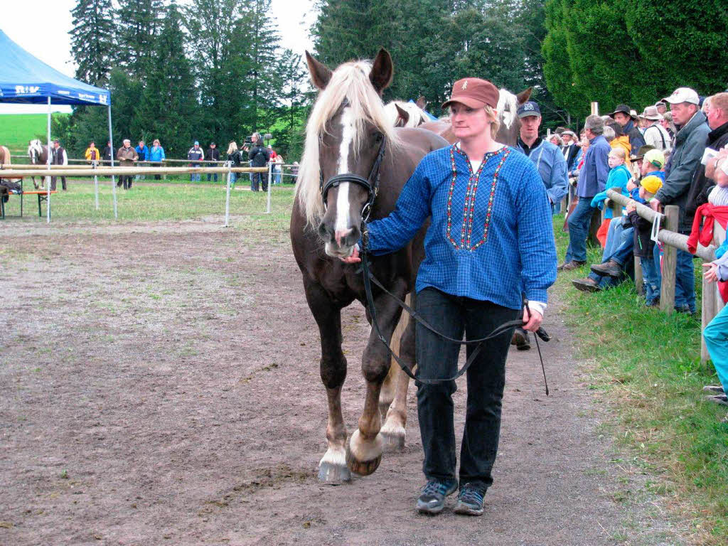 Impressionen vom Rossfest in St. Mrgen.