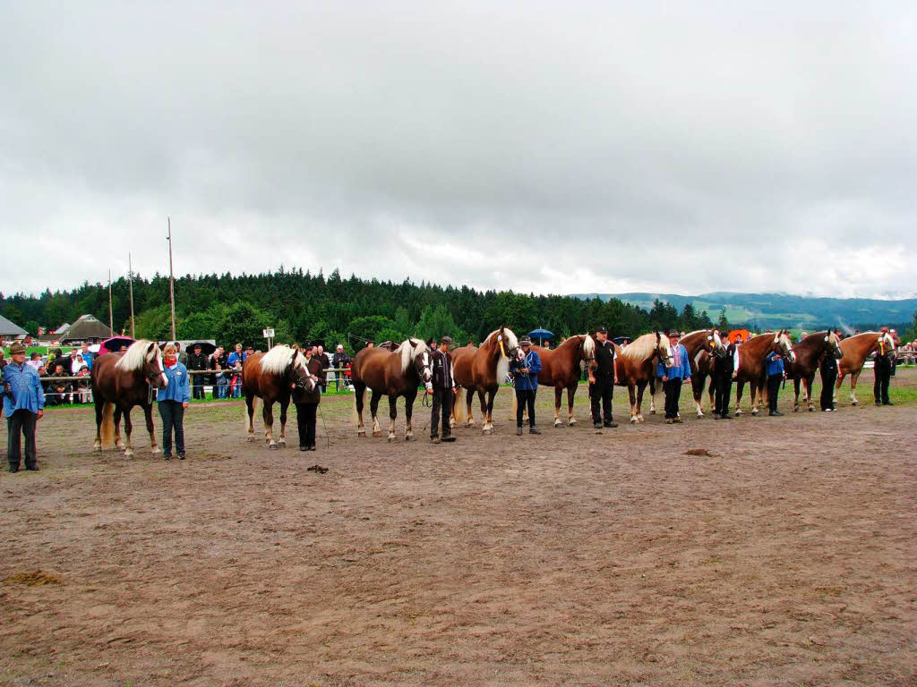 Impressionen vom Rossfest in St. Mrgen.