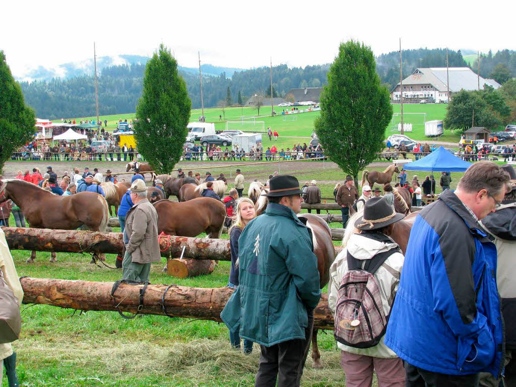 Impressionen vom Rossfest in St. Mrgen.