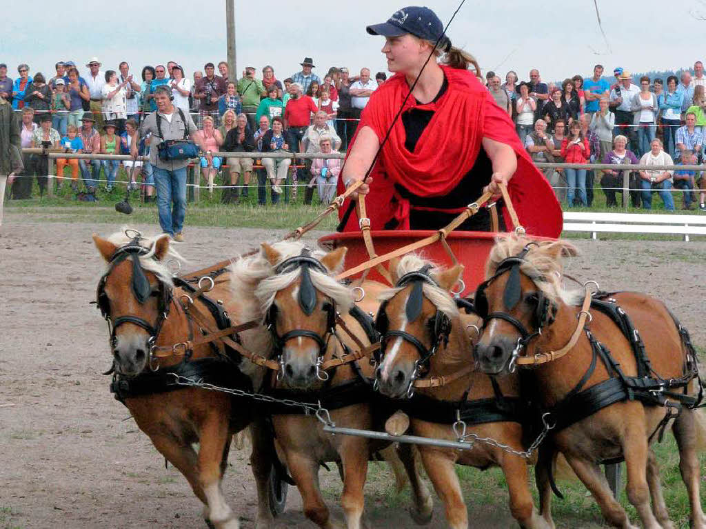 Impressionen vom Rossfest in St. Mrgen.