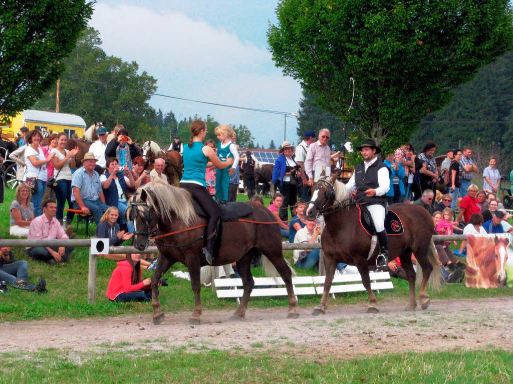 Impressionen vom Rossfest in St. Mrgen.