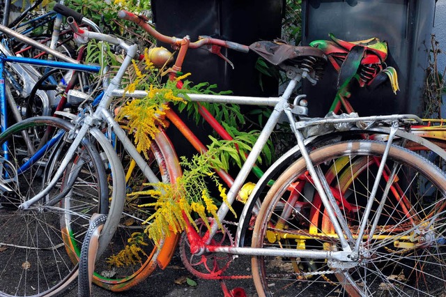 Bald woanders: Bei Bud&#8217;s Bikes w...d ausrangierte nach Eritrea gespendet.  | Foto: Thomas Kunz