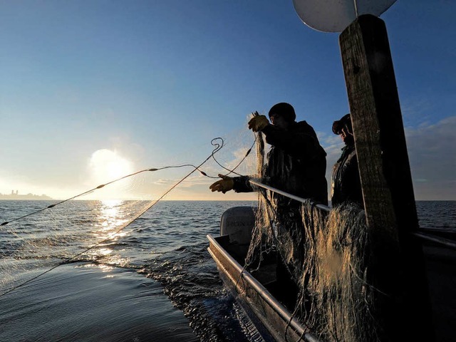 Fischerei auf dem Bodensee ist viellei...antisch, aber nicht allzu ertragreich.  | Foto: dpa