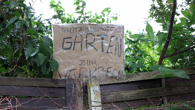 Dieser Garten ist zu haben, wie er aussieht, verbergen Zaun und Bsche.   | Foto: Dorothee Philipp