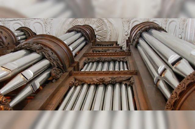 Orgel sensibel ausgelotet