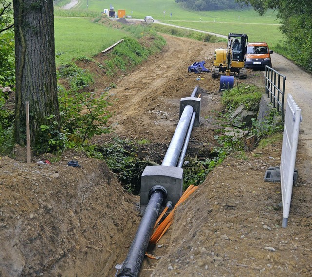 Samt der Leerrohre frs Internet (rote...ftigen Element Thallium belastet ist.   | Foto: Markus Maier