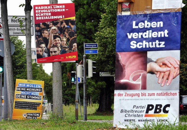 Alles so schn bunt: Auch nicht etabli...ien und Kandidaten werben um Stimmen.   | Foto: Thomas Kunz/BZ