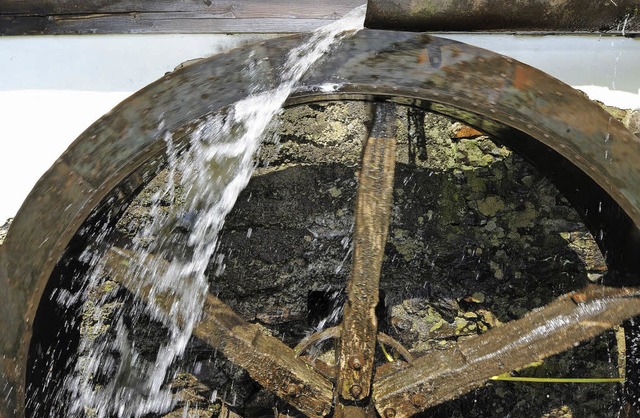 Wasserrder drehen sich nicht sehr sch...ch im Landratsamt Waldshut zu gehen.    | Foto: dpa