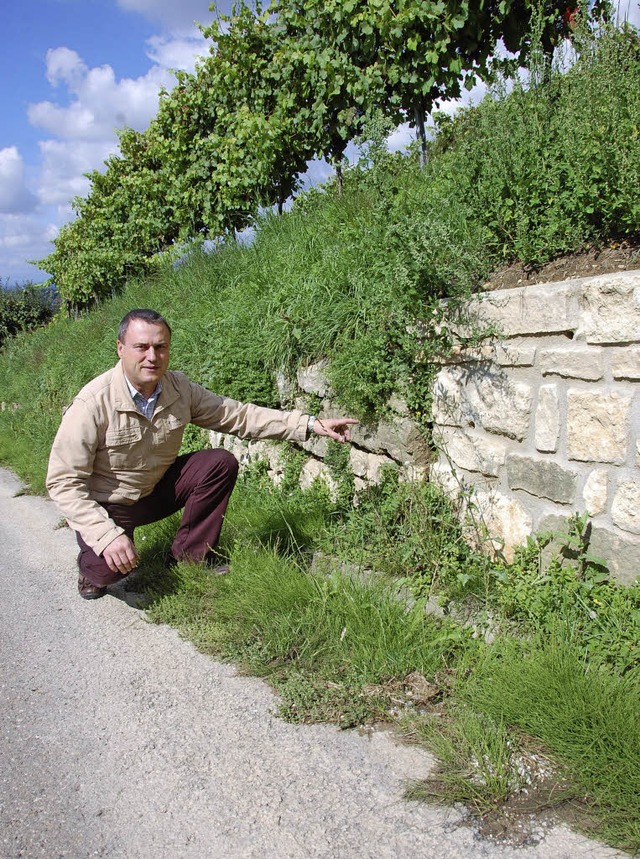 Ortsvorsteher Michael Glener vor den Steinen  des Anstoes  | Foto: Frey