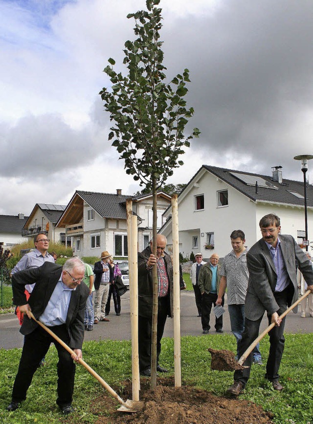 Mit vereinten Krften setzten Ortsvors...ister Michael Herr, eine Winterlinde.   | Foto: Cremer