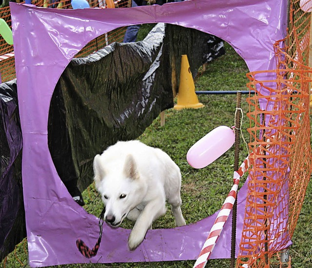 Zum Mittsommernachtsrennen nach Holzen...ndefreunde&#8220; ein. Foto: Ines Bode  | Foto: Ines Bode