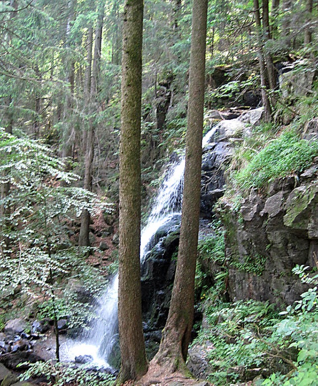 Die Zweribach-Wasserflle   | Foto: pro