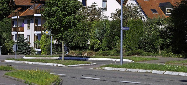 Die momentanen Querungshilfen (Bild) w...ichen auf Hhe des BBZ sicherstellen.   | Foto: Christian John