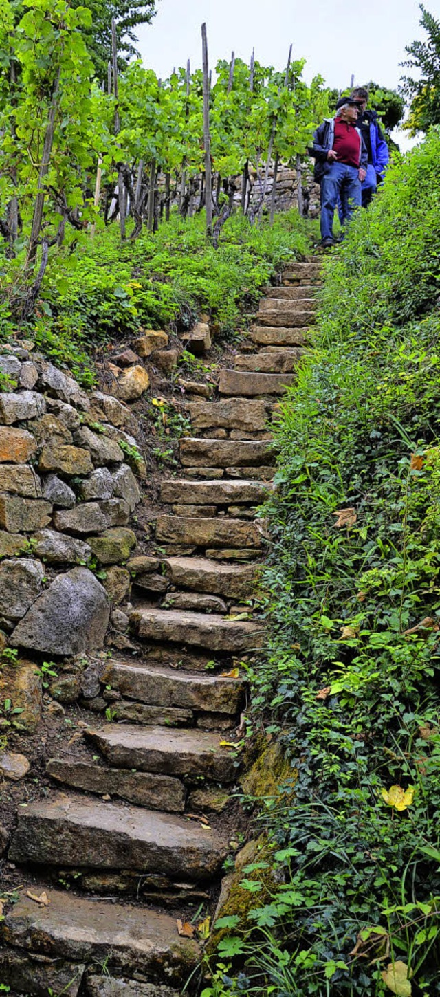 Weil es aussieht, als fhre die Treppe...amtlichen freigelegt und restauriert.   | Foto: Gabriele Hennicke